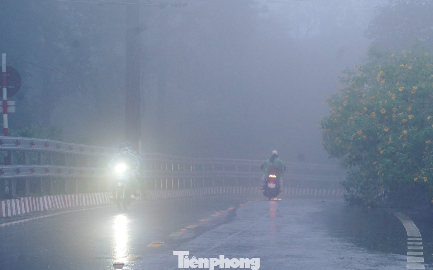 Bạn trẻ vượt 100 km lên Ba Vì chụp hoa dã quỳ trong mưa rét- Ảnh 16.