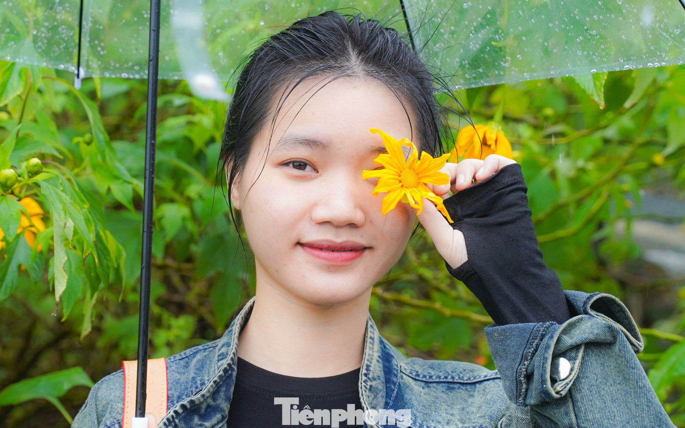 Bạn trẻ vượt 100 km lên Ba Vì chụp hoa dã quỳ trong mưa rét- Ảnh 11.