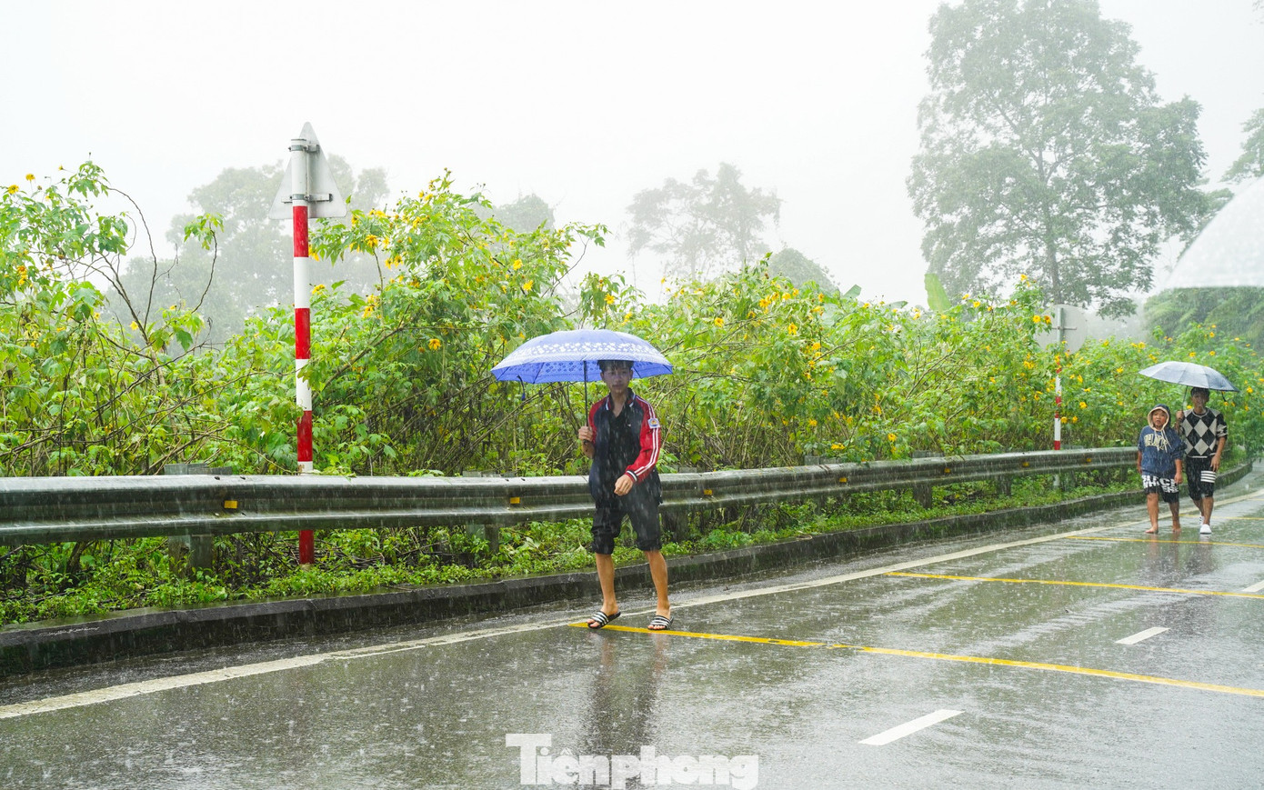 Bạn trẻ vượt 100 km lên Ba Vì chụp hoa dã quỳ trong mưa rét- Ảnh 21.