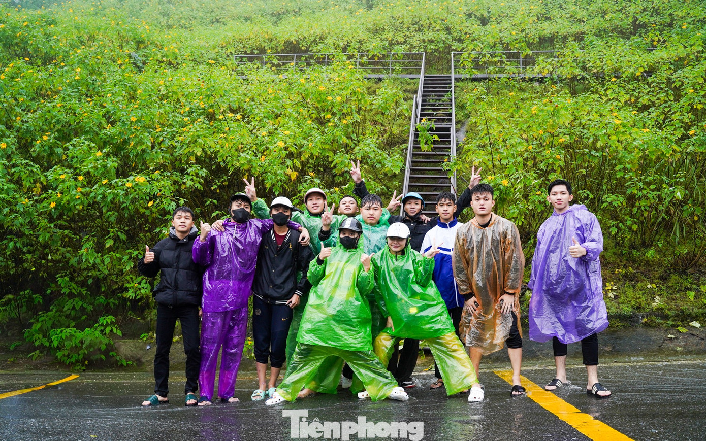 Bạn trẻ vượt 100 km lên Ba Vì chụp hoa dã quỳ trong mưa rét- Ảnh 8.