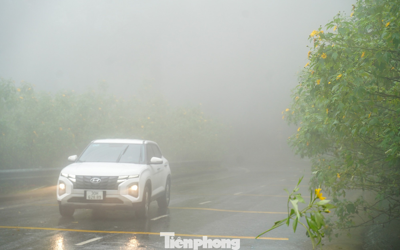 Bạn trẻ vượt 100 km lên Ba Vì chụp hoa dã quỳ trong mưa rét- Ảnh 18.