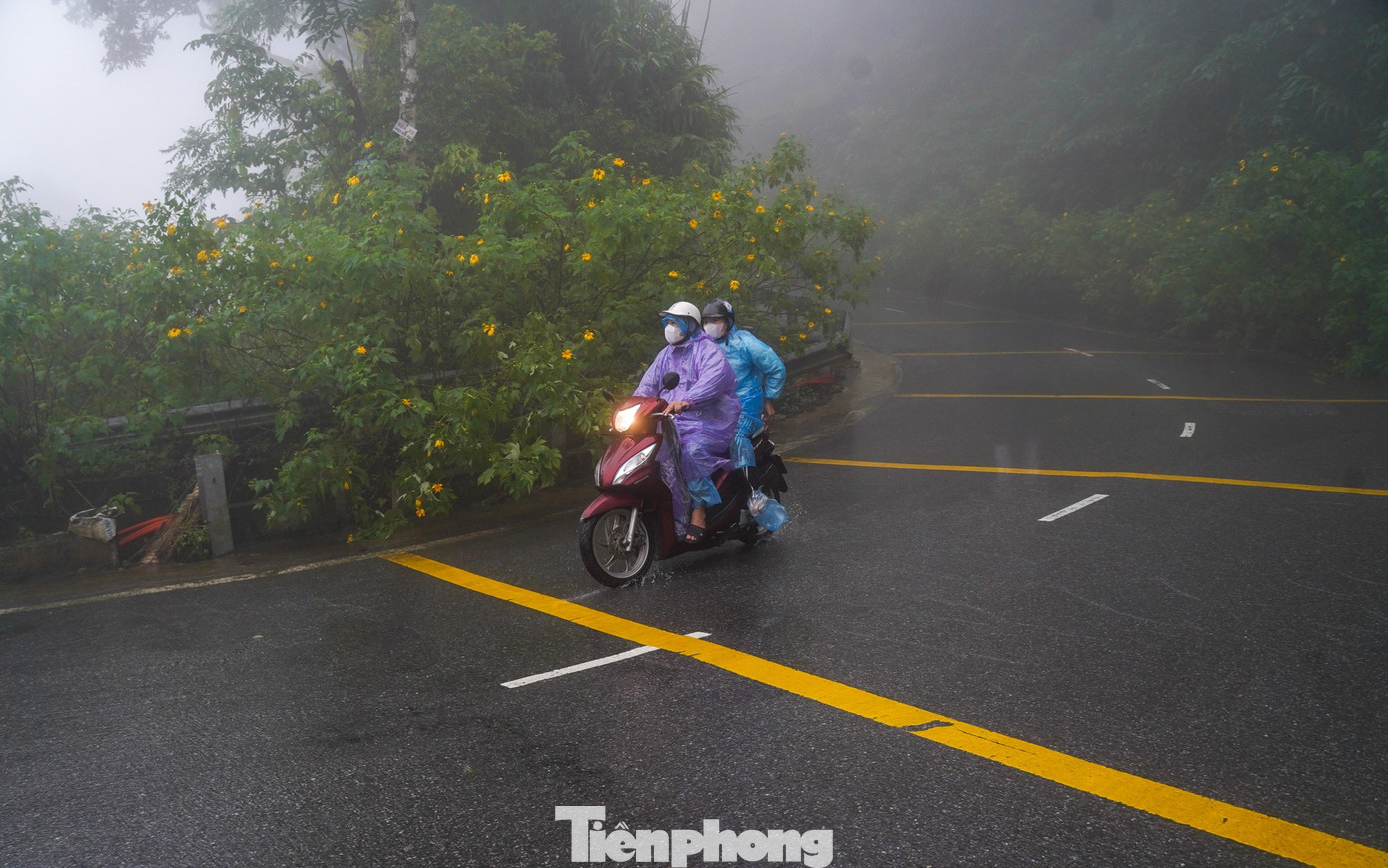 Bạn trẻ vượt 100 km lên Ba Vì chụp hoa dã quỳ trong mưa rét- Ảnh 17.