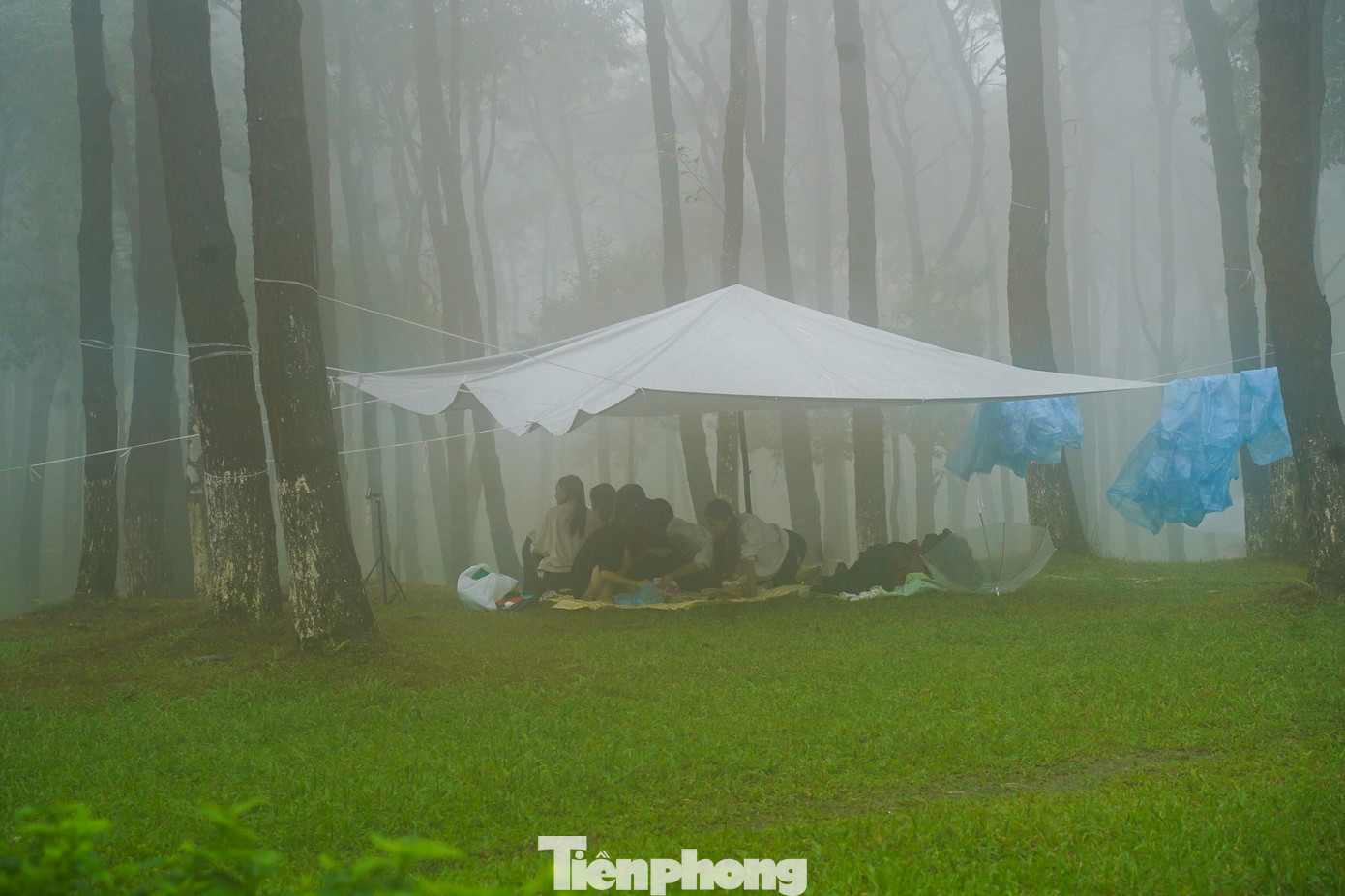 Bạn trẻ vượt 100 km lên Ba Vì chụp hoa dã quỳ trong mưa rét- Ảnh 20.