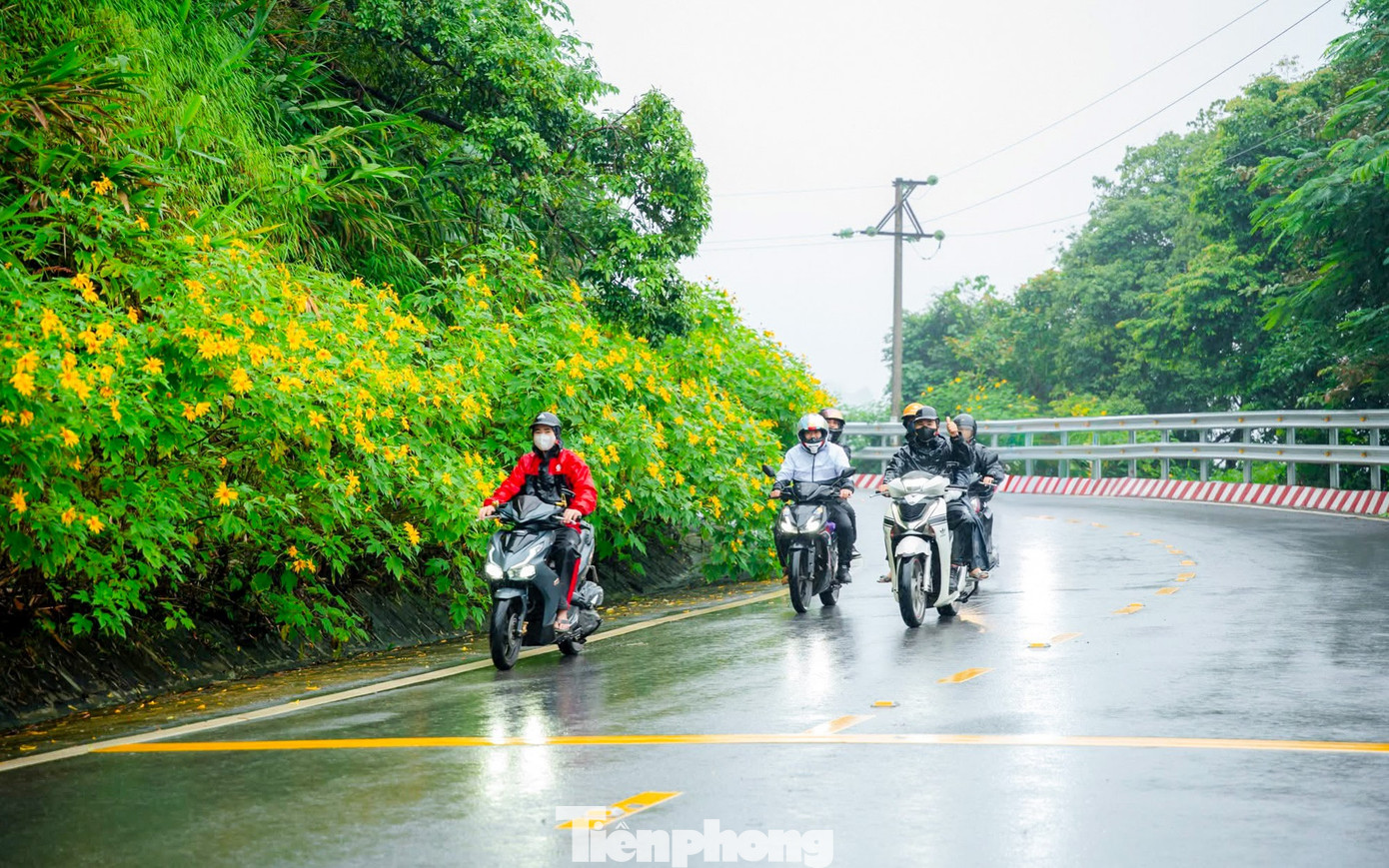 Bạn trẻ vượt 100 km lên Ba Vì chụp hoa dã quỳ trong mưa rét- Ảnh 15.