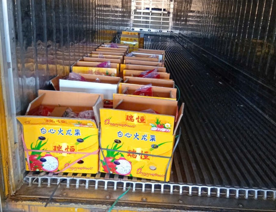 Nhiều tài xế container tố bị “bẫy” khi chở thanh long sang cửa khẩu- Ảnh 1. Nhiều tài xế container tố bị “bẫy” khi chở thanh long sang cửa khẩu- Ảnh 1.