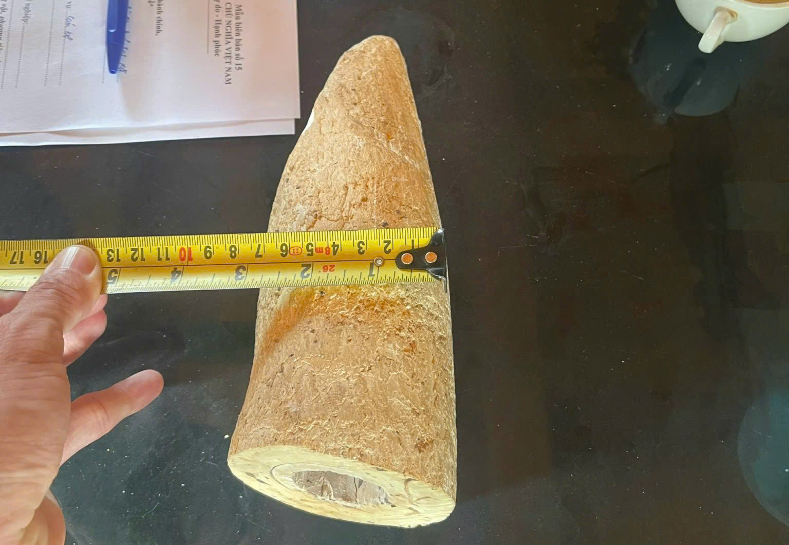 Nhặt được vật màu trắng dưới sông nghi là ngà voi- Ảnh 1. Nhặt được vật màu trắng dưới sông nghi là ngà voi- Ảnh 1.