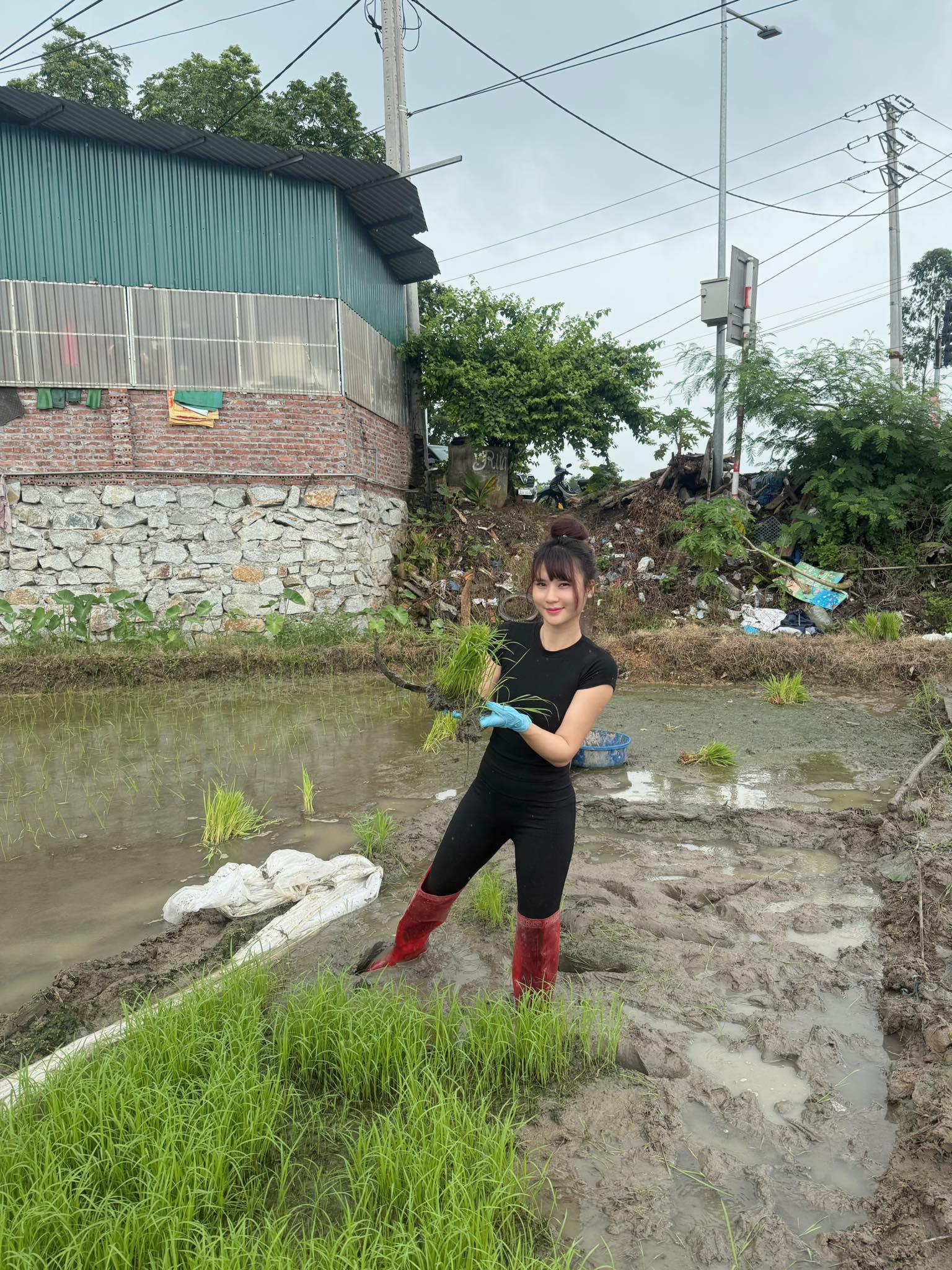 Cô gái xinh đẹp bốc vác trên thùng xe tải 30 tấn: Hé lộ thân phận phía sau- Ảnh 6. Cô gái xinh đẹp bốc vác trên thùng xe tải 30 tấn: Hé lộ thân phận phía sau- Ảnh 6.