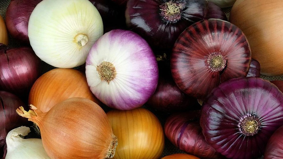Hành tây có 4 công dụng thần kỳ, ai không biết thì rất thiệt- Ảnh 2. Hành tây có 4 công dụng thần kỳ, ai không biết thì rất thiệt- Ảnh 2.