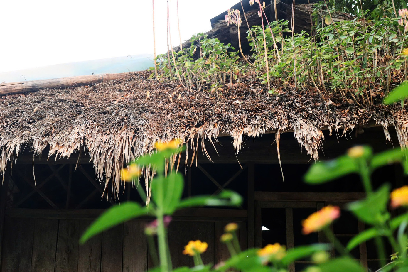 Ngắm những nếp nhà sàn nguyên sơ của người Mường ở làng du lịch- Ảnh 4.