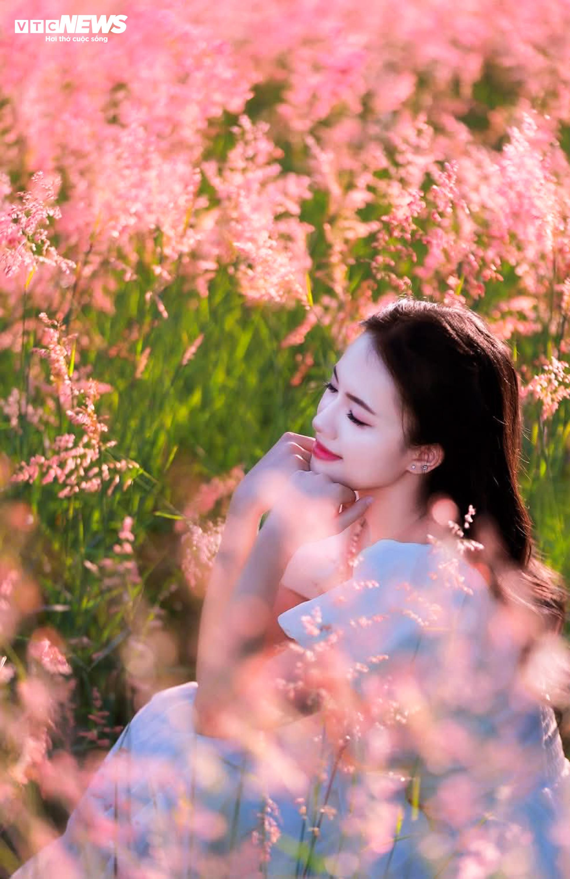 Đồi cỏ hồng như phim Hàn giữa cao nguyên Mộc Châu- Ảnh 5.