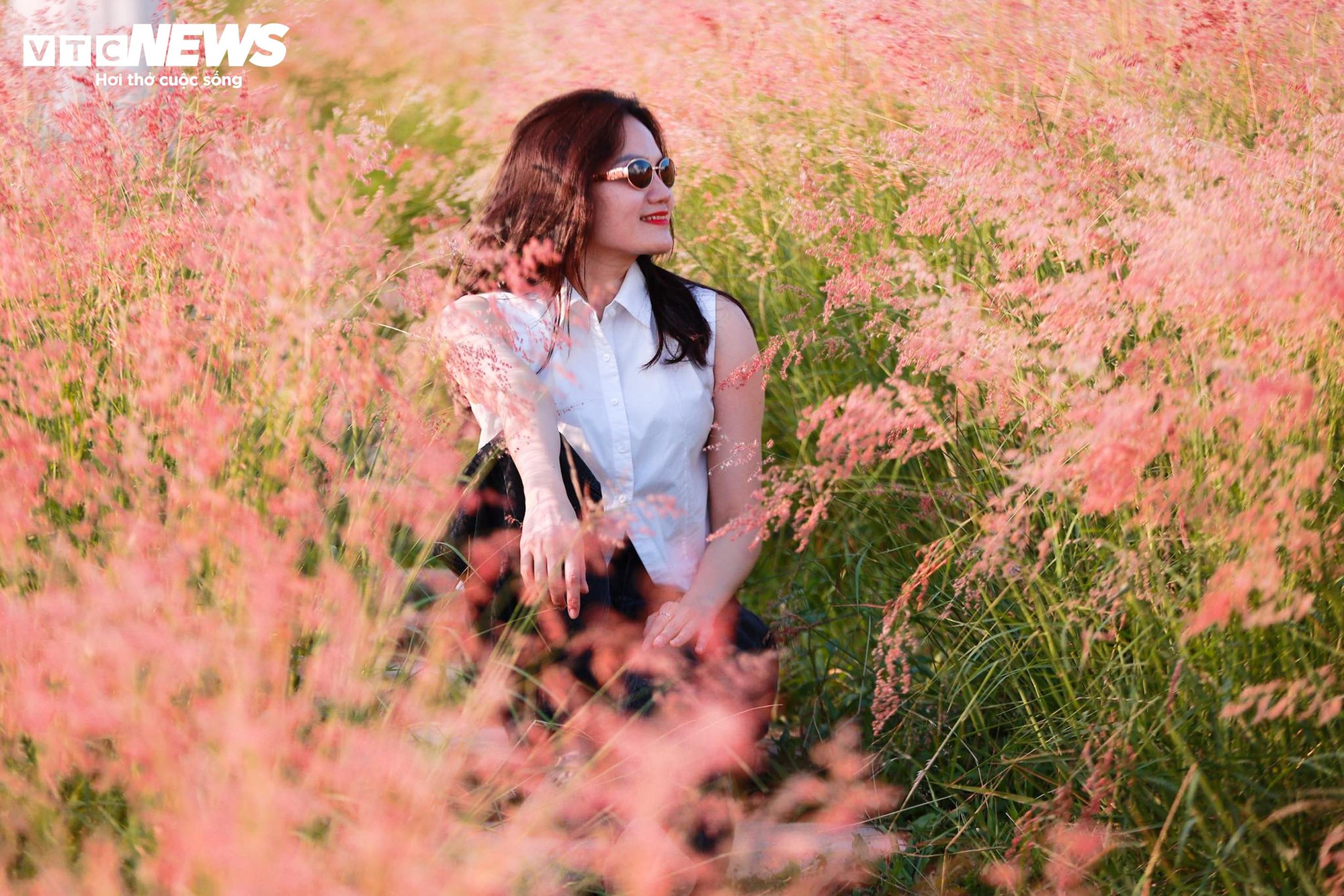 Đồi cỏ hồng như phim Hàn giữa cao nguyên Mộc Châu- Ảnh 8.