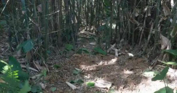 Đang đào giun thấy xẻng chạm phải vật cứng, lão nông dân run rẩy phát hiện kho báu nặng 30kg ngàn năm tuổi còn nguyên vẹn- Ảnh 1.