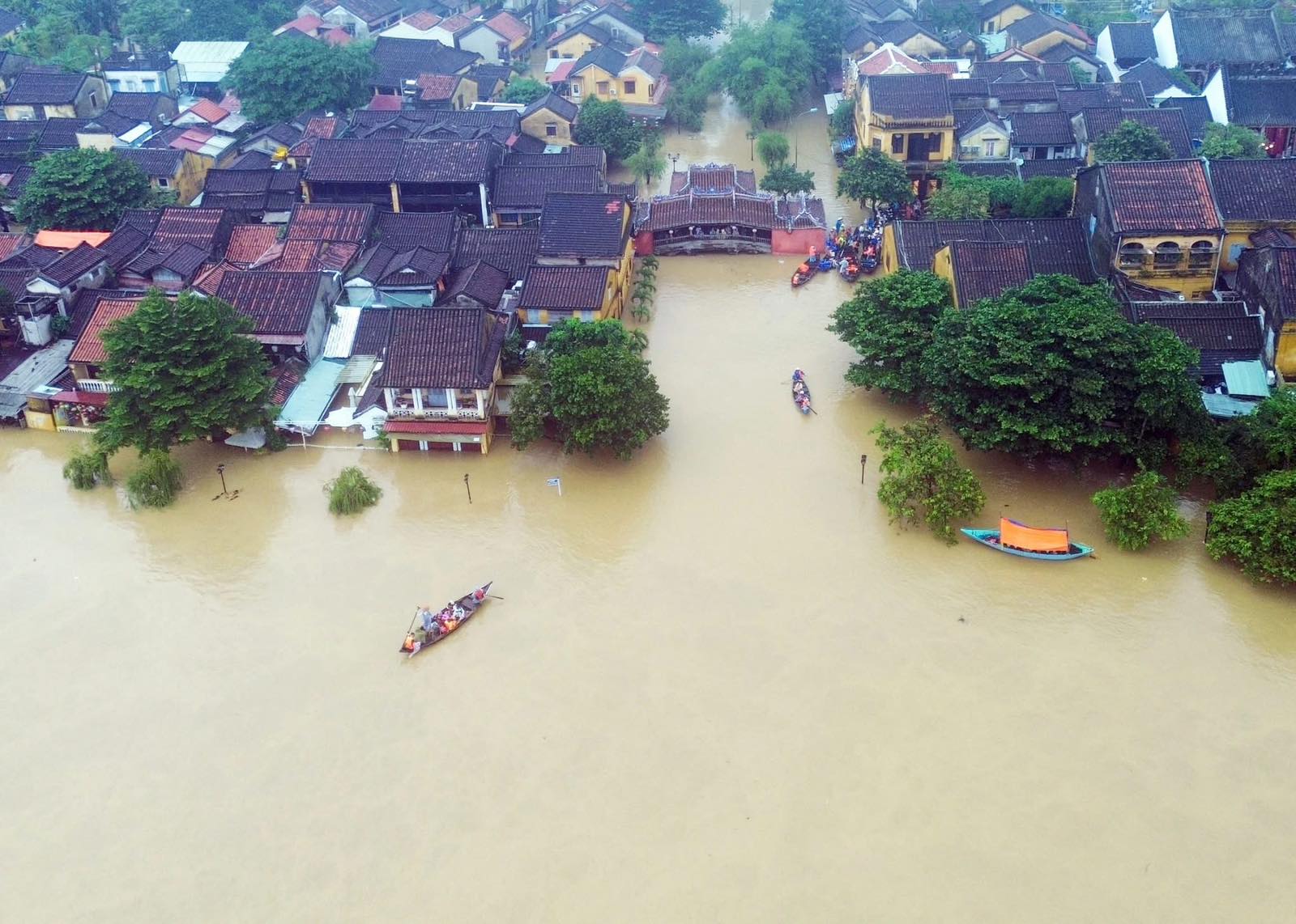 Tăng cường miễn dịch - lá chắn vững vàng cho người bệnh mạn tính phòng cúm mùa trong thời tiết cực đoan- Ảnh 1. Tăng cường miễn dịch - lá chắn vững vàng cho người bệnh mạn tính phòng cúm mùa trong thời tiết cực đoan- Ảnh 1.