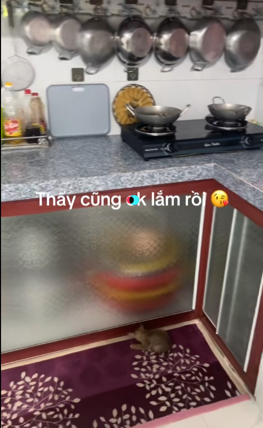 "Bảo vật" trong bếp của người miền Tây, cả nước thấy thú vị- Ảnh 8.