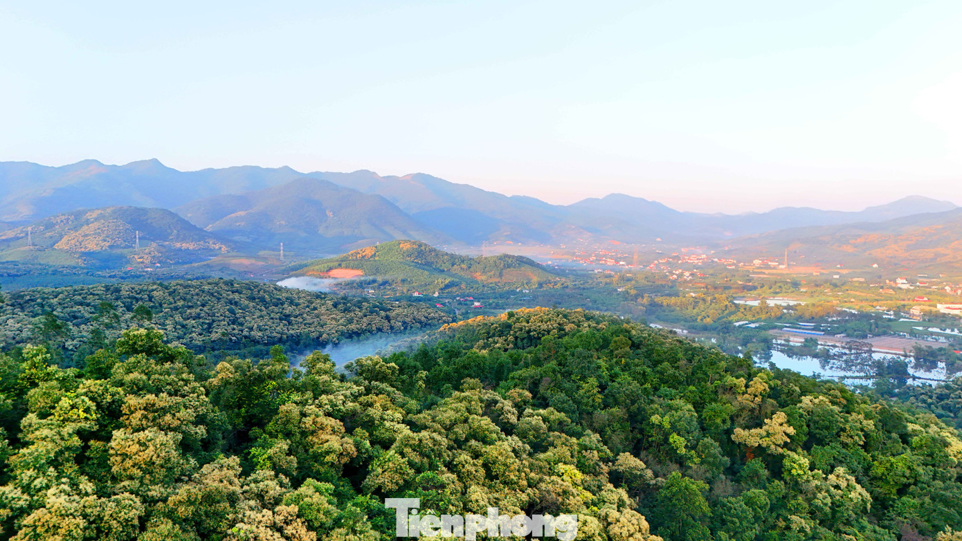 'Báu vật' của người Hải Phòng nở hoa trắng rừng- Ảnh 13.