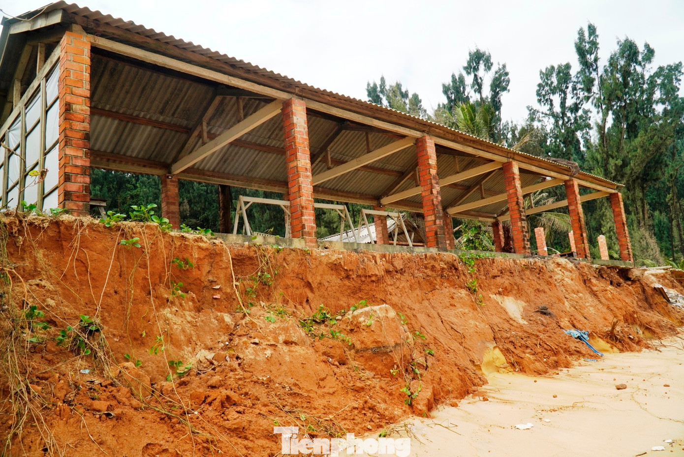 Cảnh tượng chưa từng thấy tại bãi tắm nổi tiếng xứ Huế- Ảnh 9.