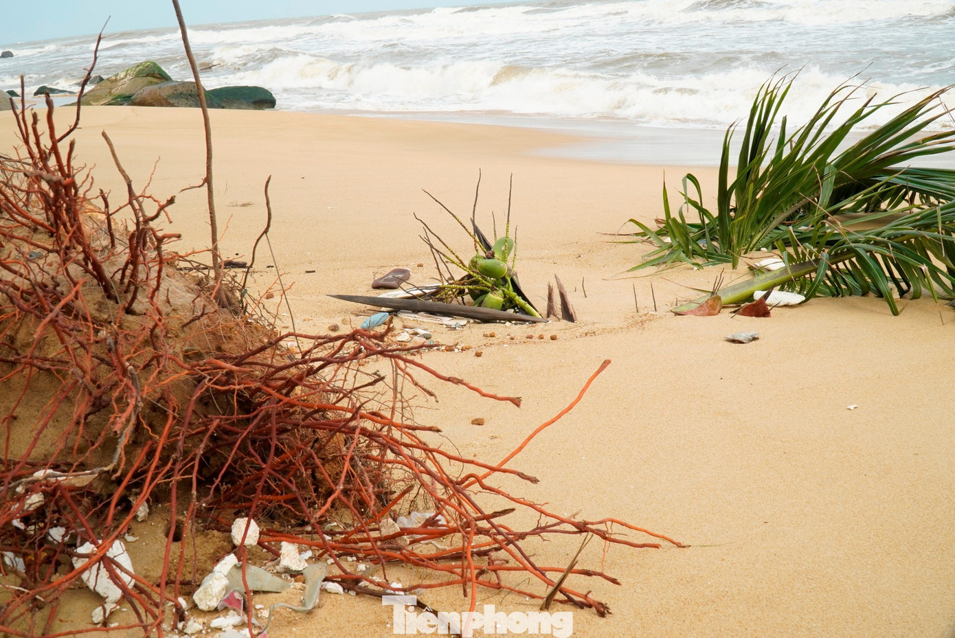 Cảnh tượng chưa từng thấy tại bãi tắm nổi tiếng xứ Huế- Ảnh 16.