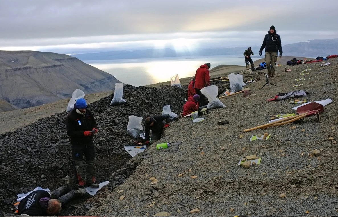 Xuất hiện đàn thủy quái 249 triệu tuổi đảo lộn lịch sử tiến hóa- Ảnh 1.