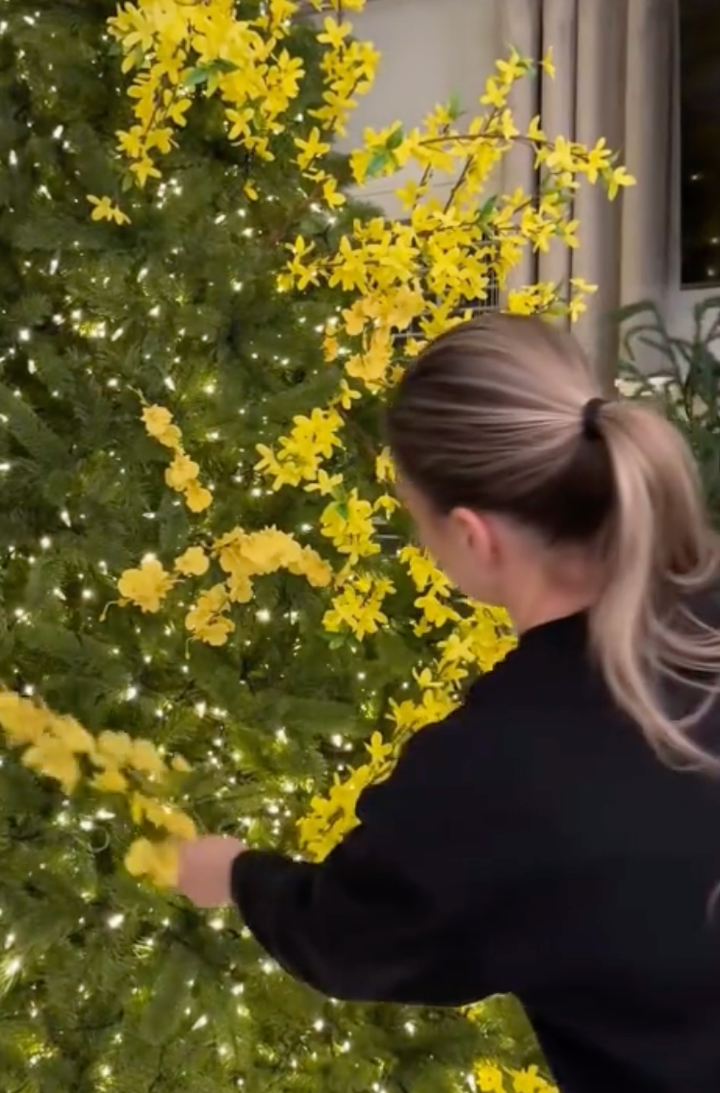 Hài hước trào lưu 'Giáng Xuân' trộn Noel với Tết, dân mạng xem là cười- Ảnh 5.