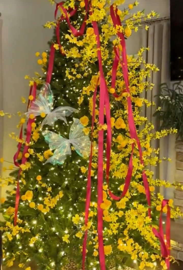 Hài hước trào lưu 'Giáng Xuân' trộn Noel với Tết, dân mạng xem là cười- Ảnh 6.