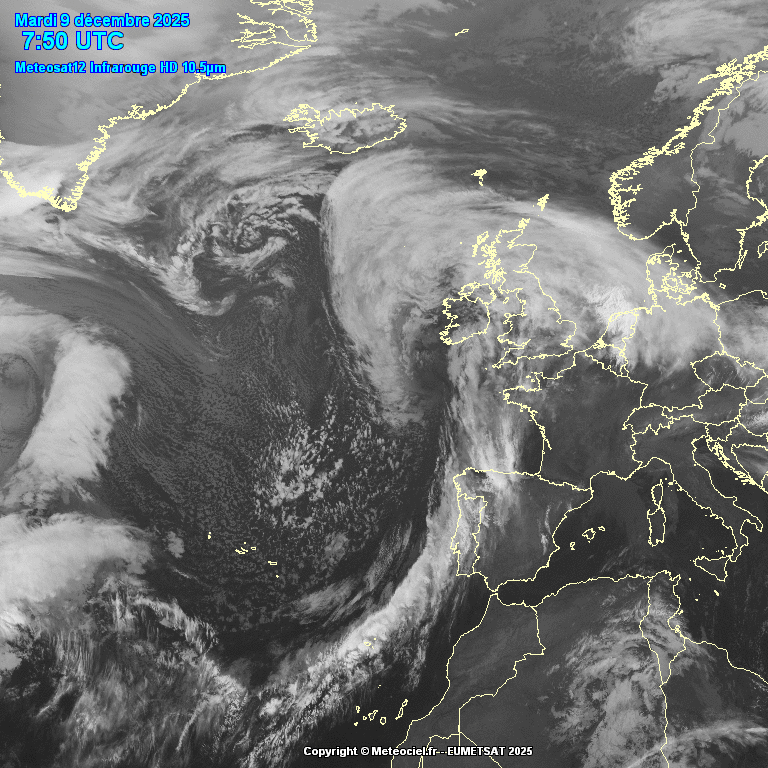 Cảnh báo ĐỎ: Cơn bão mới giật 160 km/h hoành hành, trường học đóng cửa, chuyến bay bị hủy hàng loạt- Ảnh 1.