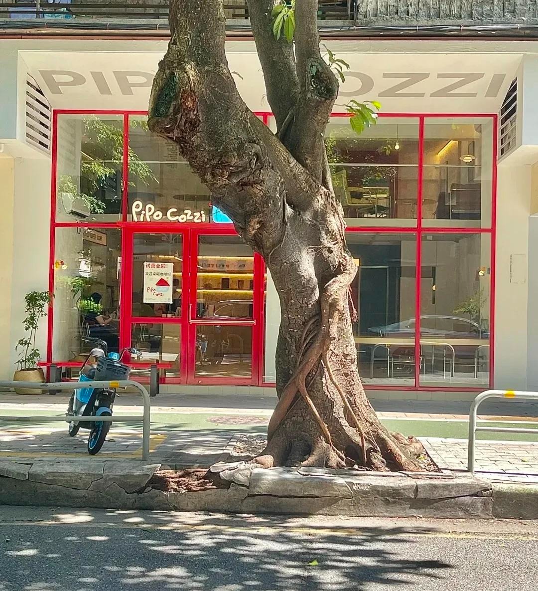 3 dấu hiệu nhận biết ngôi nhà nặng khí, long mạch không ổn- Ảnh 2. 3 dấu hiệu nhận biết ngôi nhà nặng khí, long mạch không ổn- Ảnh 2.