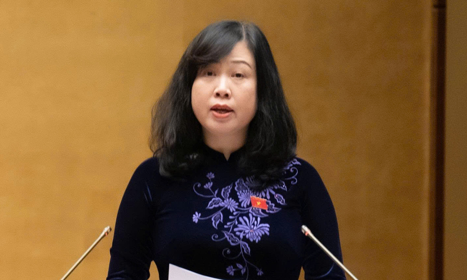 Phụ nữ nghỉ thai sản 7 tháng khi sinh con thứ 2, ưu tiên mua nhà ở xã hội- Ảnh 1.