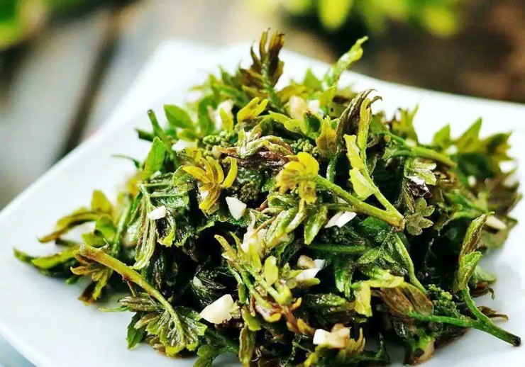 Cây xưa chỉ trồng lấy quả, nay ngắt lá non đem bán cũng ra tiền- Ảnh 2.