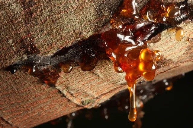 Hòn đá chặn cửa bất ngờ hóa thành bảo vật triệu đô- Ảnh 2.