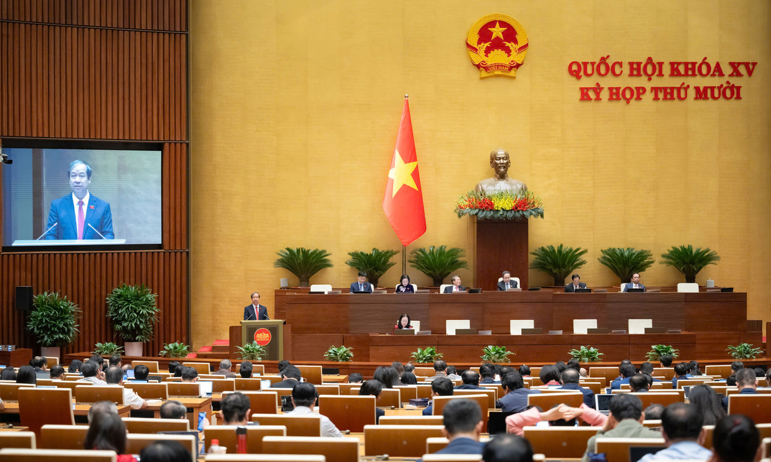 Bộ Y tế quản lý việc đào tạo bác sĩ nội trú, bác sĩ chuyên khoa- Ảnh 1.