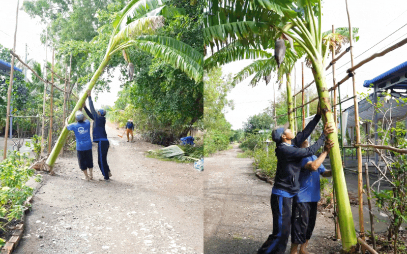 "Út về vườn" đi lấy chồng khiến triệu người "ăn cưới online" rưng rưng vì tự tay kết rồng phượng, dựng cổng cưới, xúc động nhất là chi tiết này!- Ảnh 15.