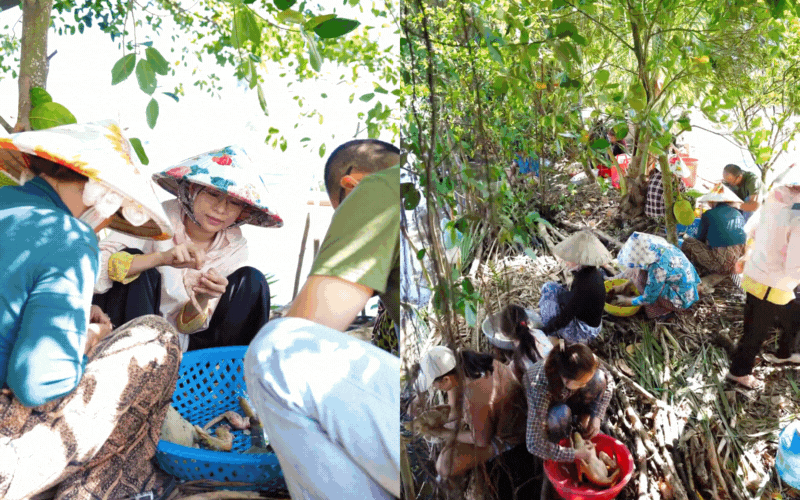 "Út về vườn" đi lấy chồng khiến triệu người "ăn cưới online" rưng rưng vì tự tay kết rồng phượng, dựng cổng cưới, xúc động nhất là chi tiết này!- Ảnh 25.