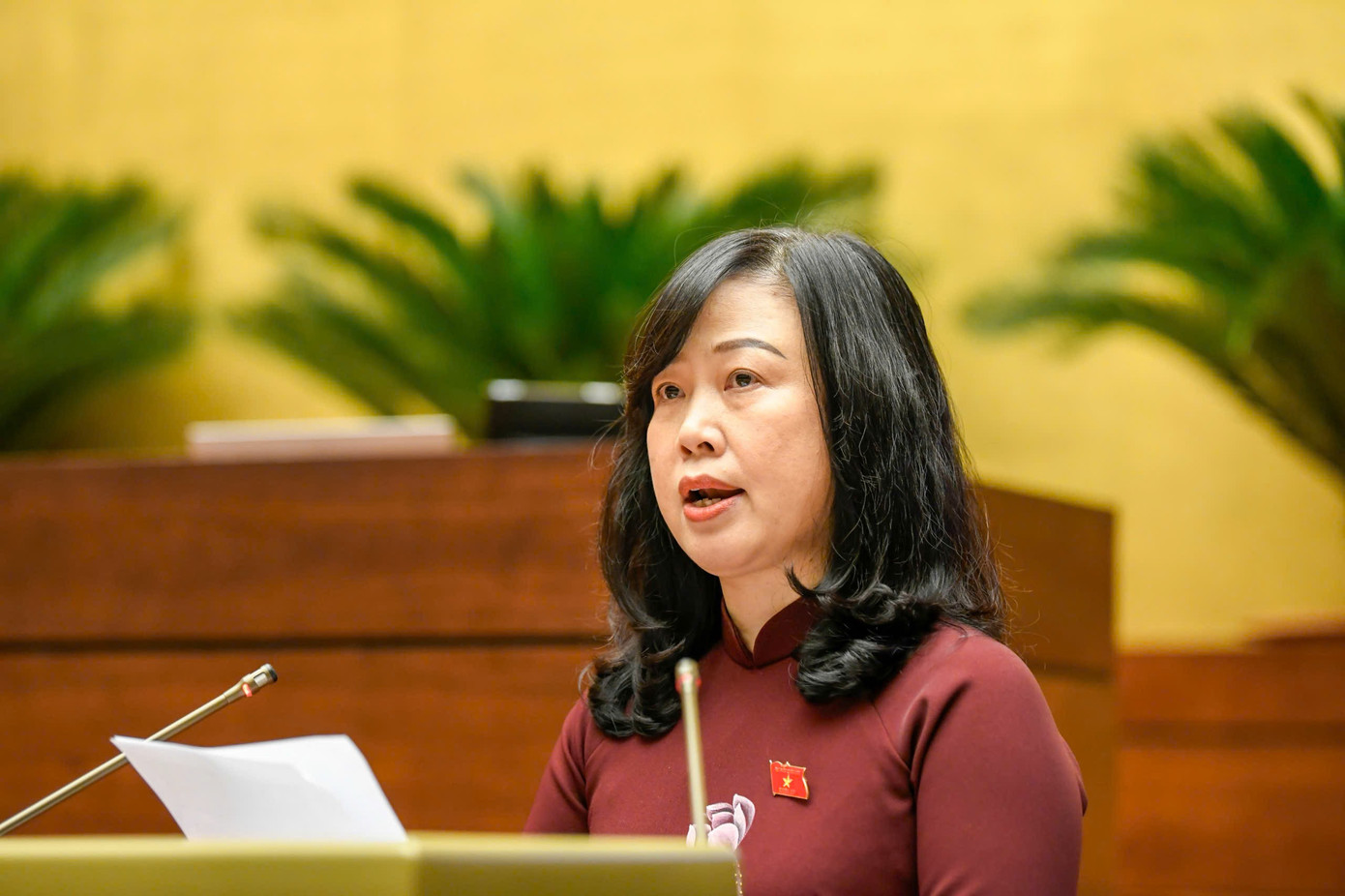 Người từ 75 tuổi đang hưởng trợ cấp hưu trí sẽ được hưởng 100% chi phí khám, chữa bệnh- Ảnh 2.