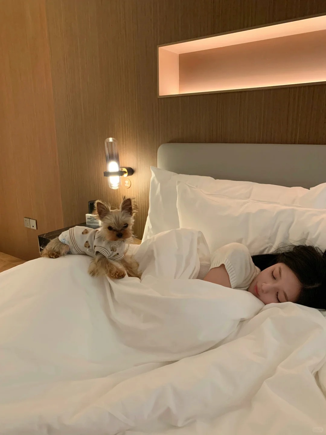 Điều bạn làm trên giường mỗi đêm hé lộ nhiều sự thật về chính con người bạn- Ảnh 2. Điều bạn làm trên giường mỗi đêm hé lộ nhiều sự thật về chính con người bạn- Ảnh 2.