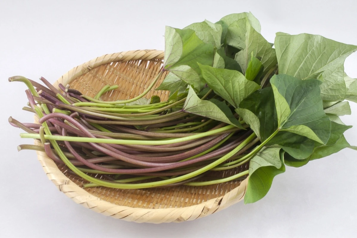 Loại rau rẻ tiền trên mâm mọi gia đình hoá ra giúp giảm cân thần kỳ- Ảnh 2. Loại rau rẻ tiền trên mâm mọi gia đình hoá ra giúp giảm cân thần kỳ- Ảnh 2.