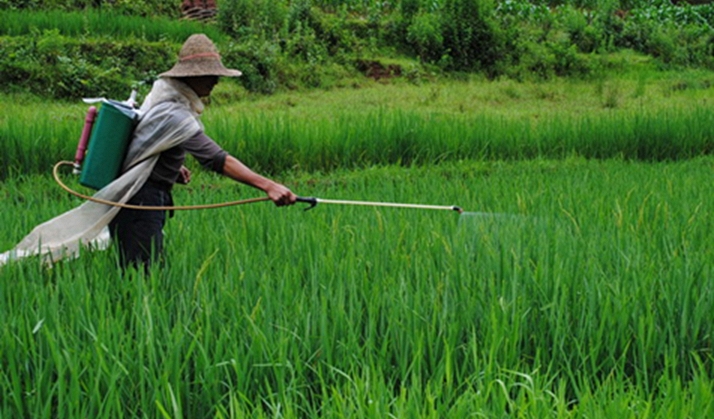 Anh c&ocirc;ng bố 12 loại rau quả 