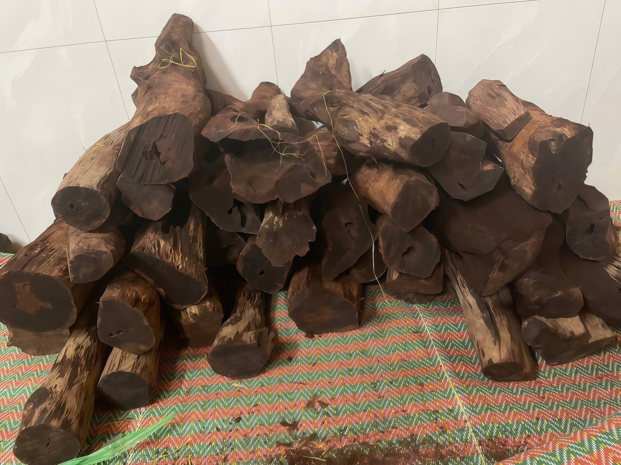 Ai đang đứng sau cuộc săn lùng loài gỗ "vô danh" có giá đến 3 triệu đồng/kg ở Quảng Trị?- Ảnh 1. Ai đang đứng sau cuộc săn lùng loài gỗ "vô danh" có giá đến 3 triệu đồng/kg ở Quảng Trị?- Ảnh 1.