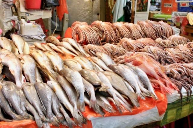 3 loại cá đầy ký sinh trùng người bán chẳng bao giờ ăn- Ảnh 1.