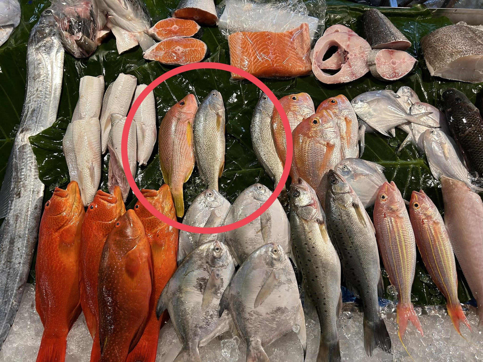 3 loại cá đầy ký sinh trùng người bán chẳng bao giờ ăn- Ảnh 3.