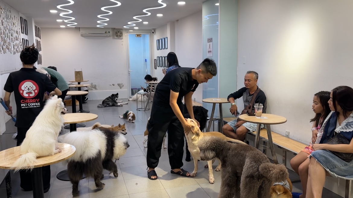 Chó, mèo ở TPHCM được tiêm vắc-xin miễn phí từ ngày 20-12- Ảnh 1. Chó, mèo ở TPHCM được tiêm vắc-xin miễn phí từ ngày 20-12- Ảnh 1.