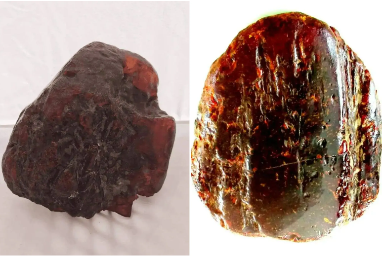 Nhặt hòn đá dưới suối về chặn cửa suốt mấy thập kỷ, chuyên gia vừa xem đã nói là kho báu gần 29 tỷ đồng- Ảnh 2. Nhặt hòn đá dưới suối về chặn cửa suốt mấy thập kỷ, chuyên gia vừa xem đã nói là kho báu gần 29 tỷ đồng- Ảnh 2.