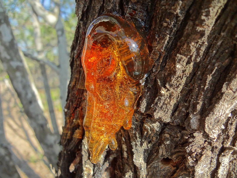 Nhặt hòn đá dưới suối về chặn cửa suốt mấy thập kỷ, chuyên gia vừa xem đã nói là kho báu gần 29 tỷ đồng- Ảnh 3. Nhặt hòn đá dưới suối về chặn cửa suốt mấy thập kỷ, chuyên gia vừa xem đã nói là kho báu gần 29 tỷ đồng- Ảnh 3.