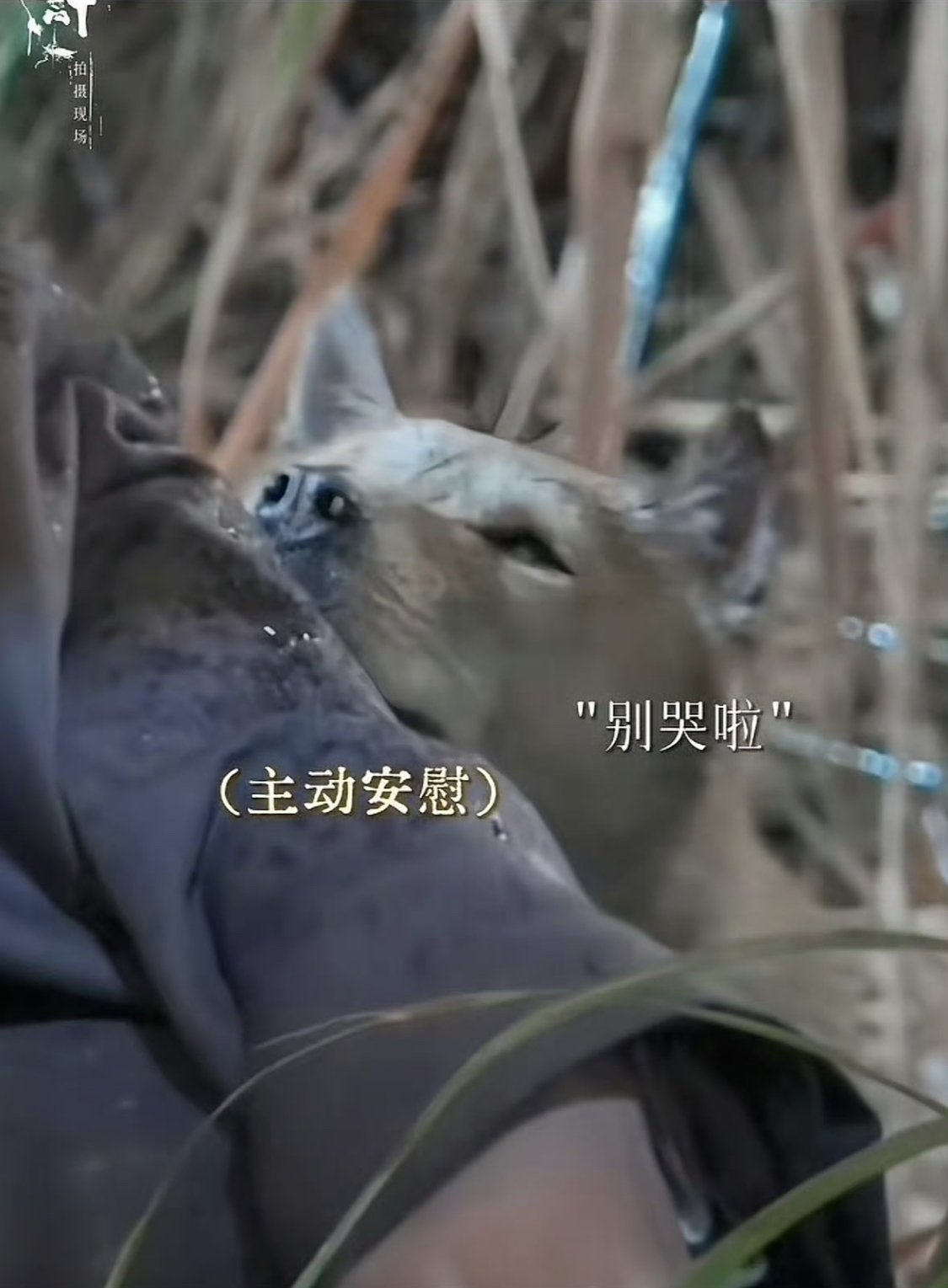 Mỹ nam đang viral khắp Trung Quốc vì cảnh khóc vô địch thiên hạ, chỉ một giọt lệ mà hút 200 triệu view- Ảnh 3. Mỹ nam đang viral khắp Trung Quốc vì cảnh khóc vô địch thiên hạ, chỉ một giọt lệ mà hút 200 triệu view- Ảnh 3.