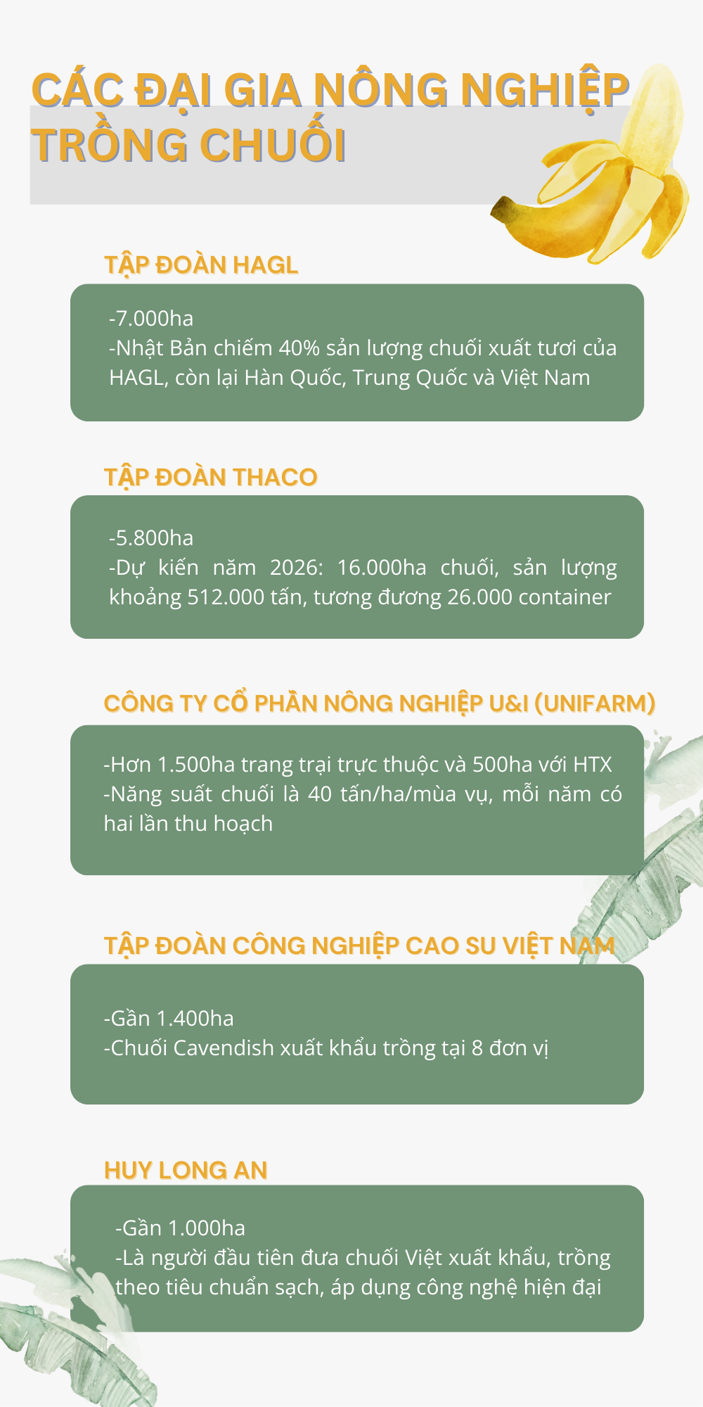 'Trái cây hạnh phúc' của Việt Nam khiến Nhật Bản, Trung Quốc tranh phần nhập khẩu, một loạt đại gia chạy đua mở rộng diện tích- Ảnh 2. 'Trái cây hạnh phúc' của Việt Nam khiến Nhật Bản, Trung Quốc tranh phần nhập khẩu, một loạt đại gia chạy đua mở rộng diện tích- Ảnh 2.
