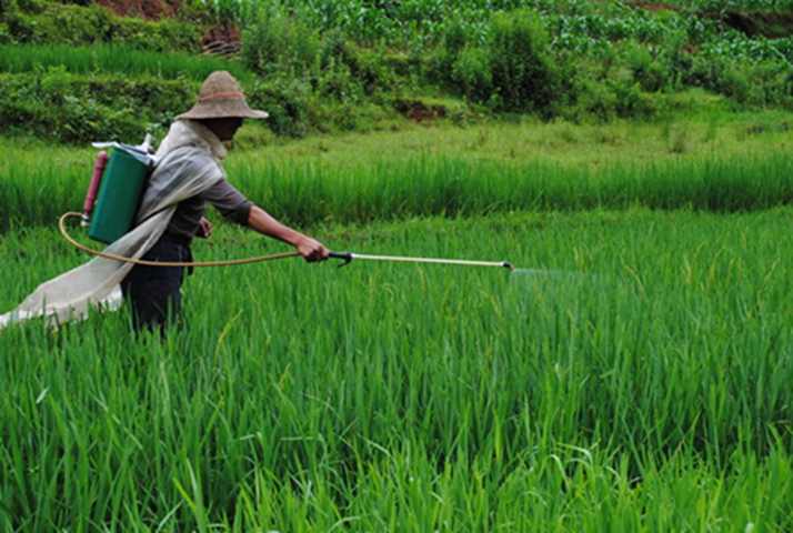 Anh công bố 12 loại rau quả "ngậm thuốc trừ sâu" nhiều nhất năm 2025: Loại quả đứng đầu danh sách với 99% thuốc trừ sâu vượt quá tiêu chuẩn- Ảnh 1.