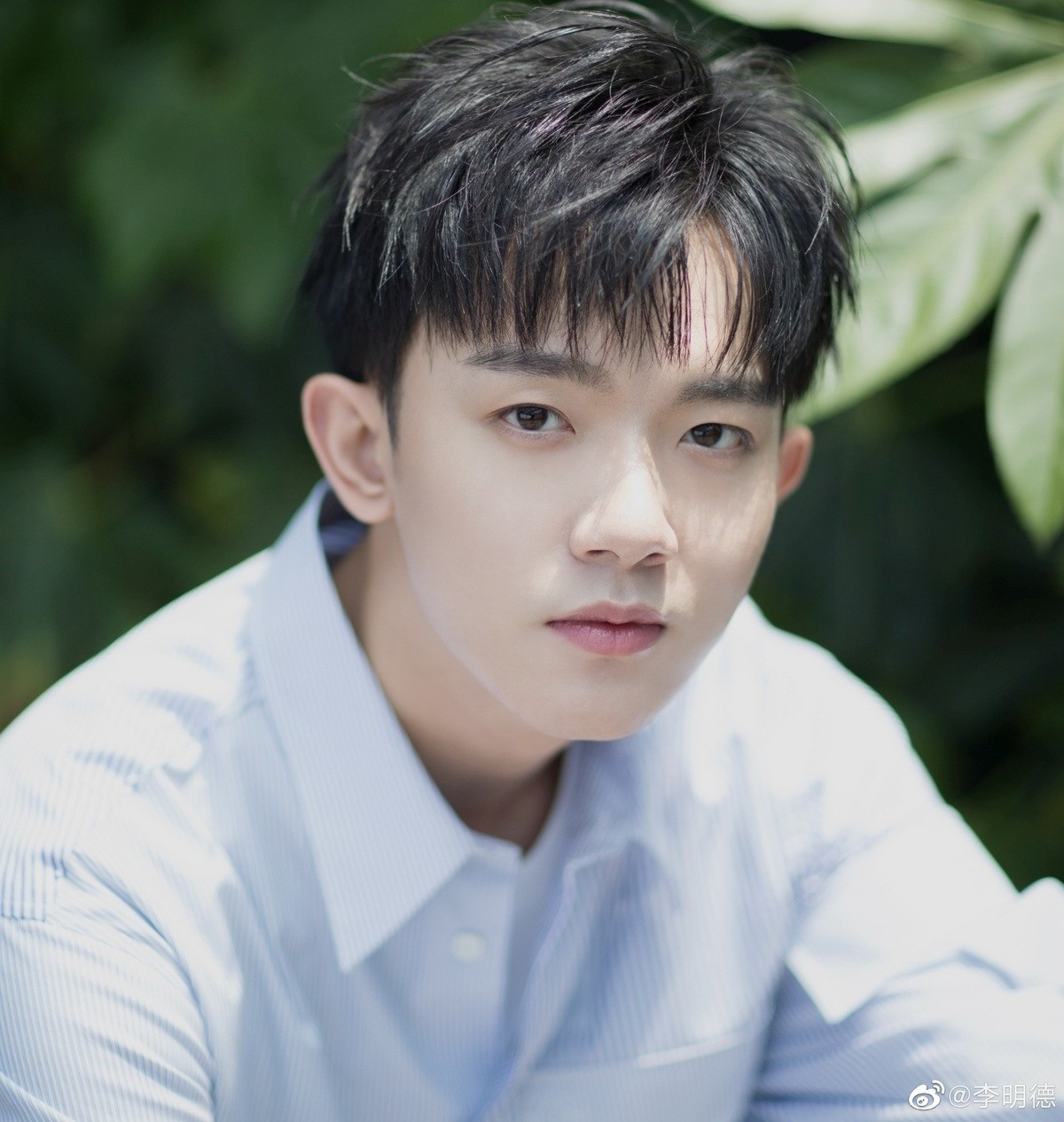 3 nghệ sĩ bị xóa sổ năm 2025- Ảnh 1.