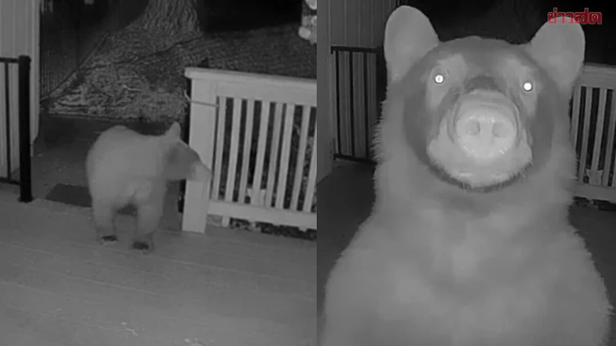 Nửa đêm thức giấc, người đàn ông bỗng phát hiện thứ "đáng sợ" ngoài cửa- Ảnh 1.