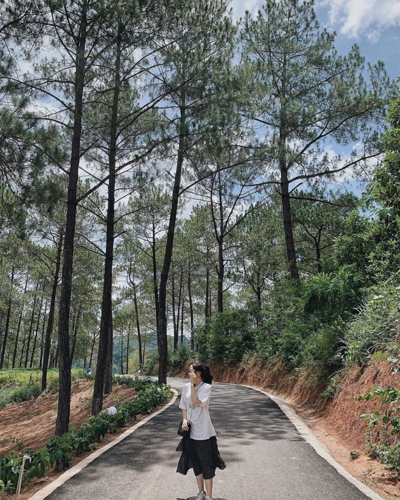 Việt Nam có 1 nơi được Giải thưởng Du lịch Thế giới gọi tên tới 3 lần: Đang mùa hoa mận phủ trắng đồi, “viên ngọc quý” giữa lòng Tây Bắc- Ảnh 4.