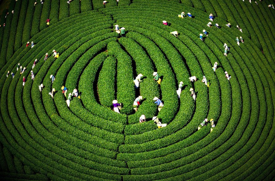 Việt Nam có 1 nơi được Giải thưởng Du lịch Thế giới gọi tên tới 3 lần: Đang mùa hoa mận phủ trắng đồi, “viên ngọc quý” giữa lòng Tây Bắc- Ảnh 2.