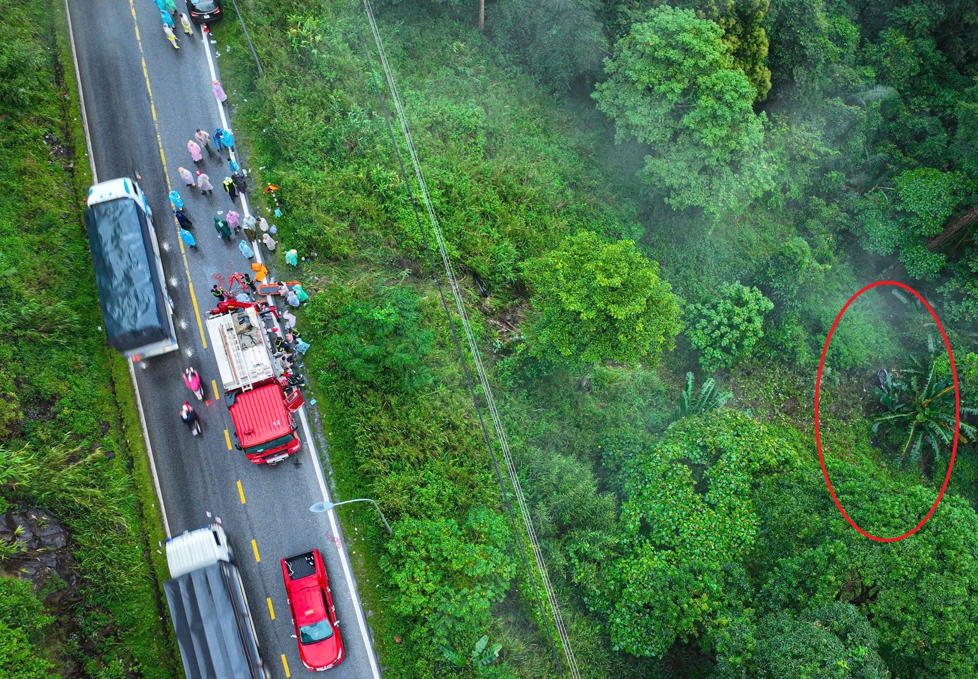 Truy tố người phụ nữ đầu độc nhân tình bằng xyanua- Ảnh 1. Truy tố người phụ nữ đầu độc nhân tình bằng xyanua- Ảnh 1.